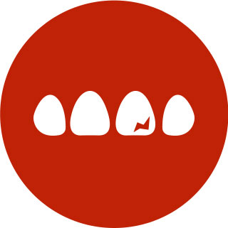 Broken denture repair